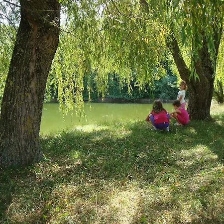 بيت ضيافة Stari Grad