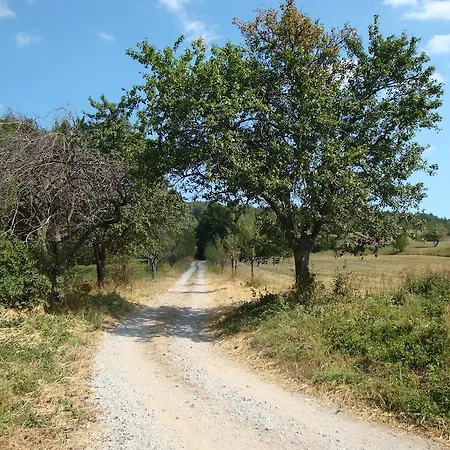 بيت ضيافة Stari Grad Divača